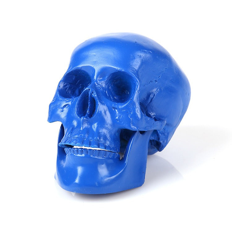 Blue Medical Skull Resin Ornament for Home Decor