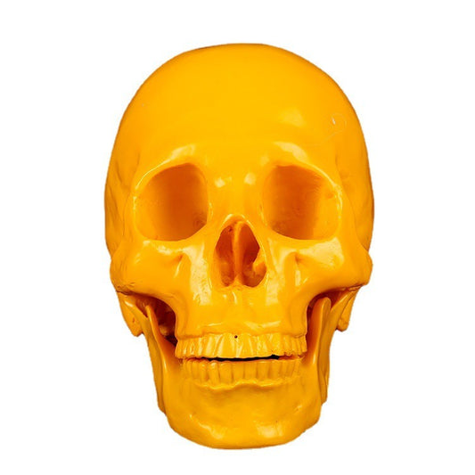 Yellow Medical Resin Skull Ornament for Home Decor