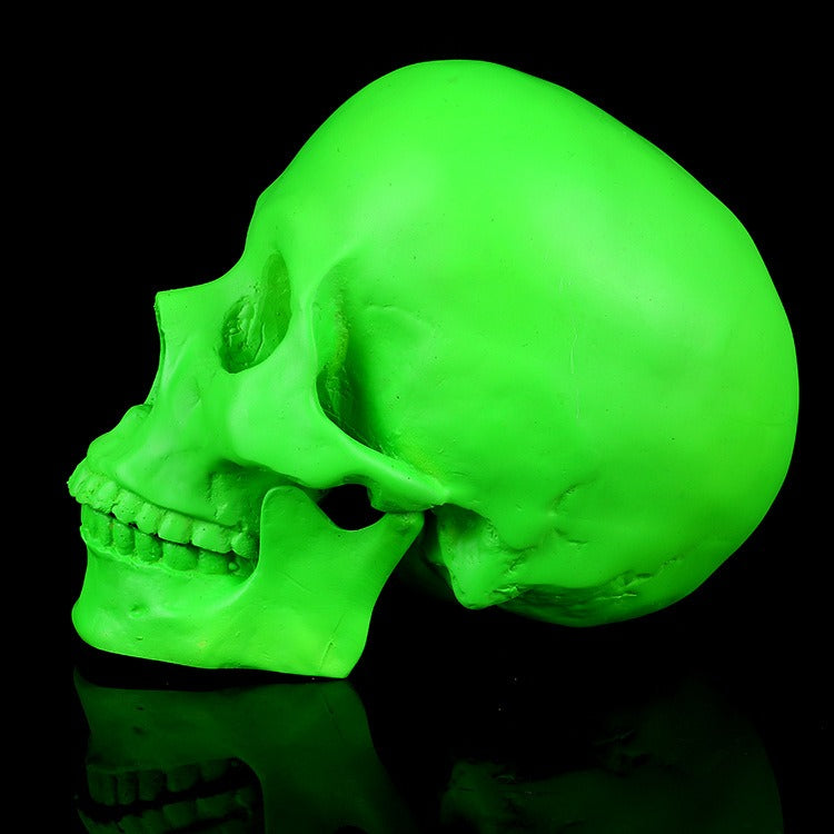 1:1 Resin Skull Medical Ornament - Home Decor