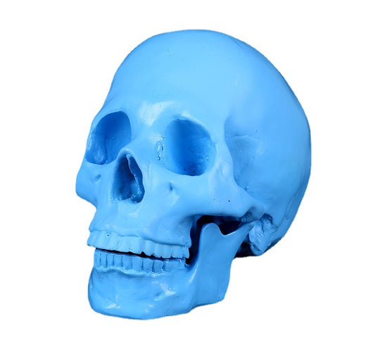 Blue Medical Resin Skull Ornament