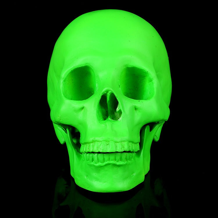 1:1 Resin Skull Medical Ornament - Home Decor